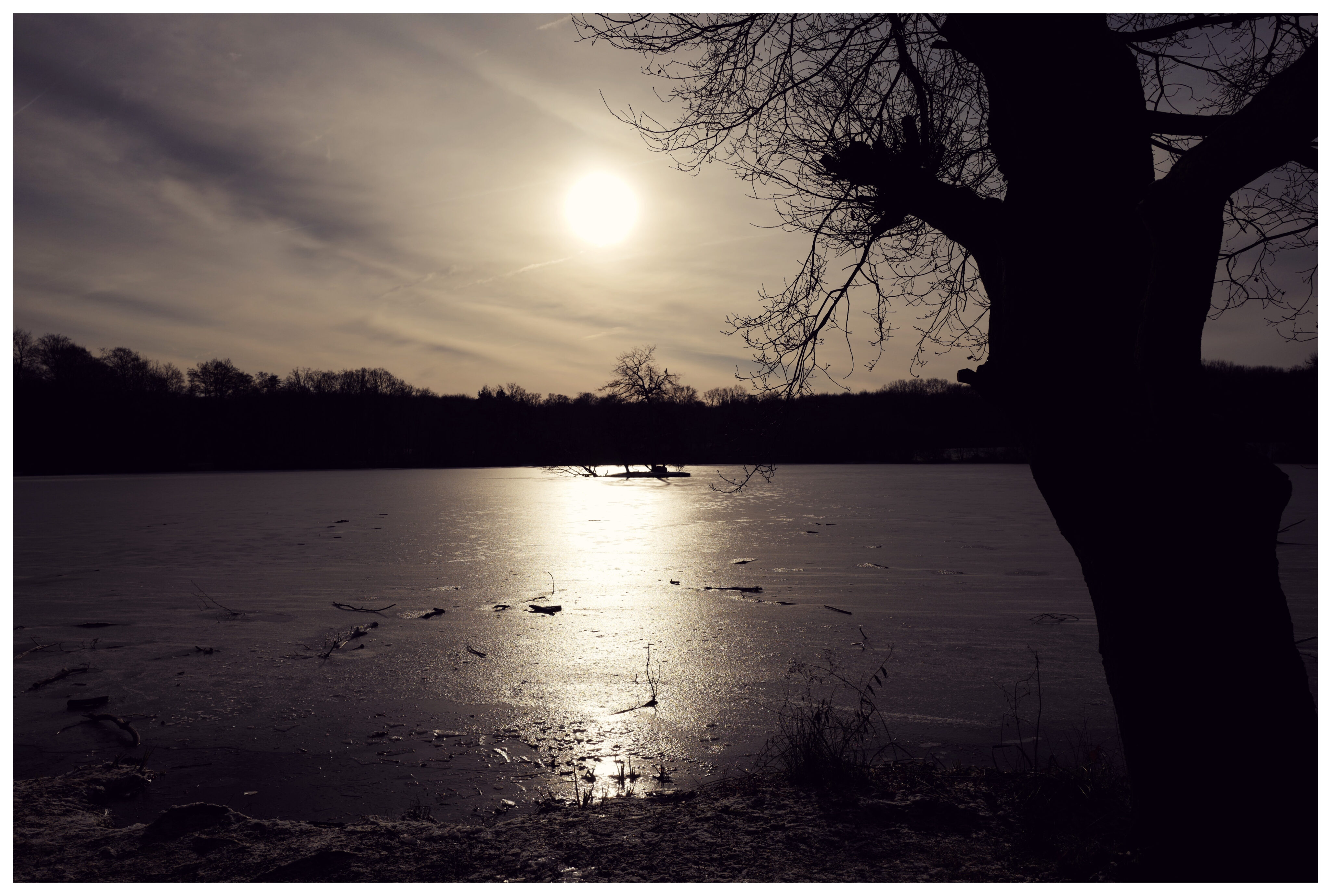 Winter am See